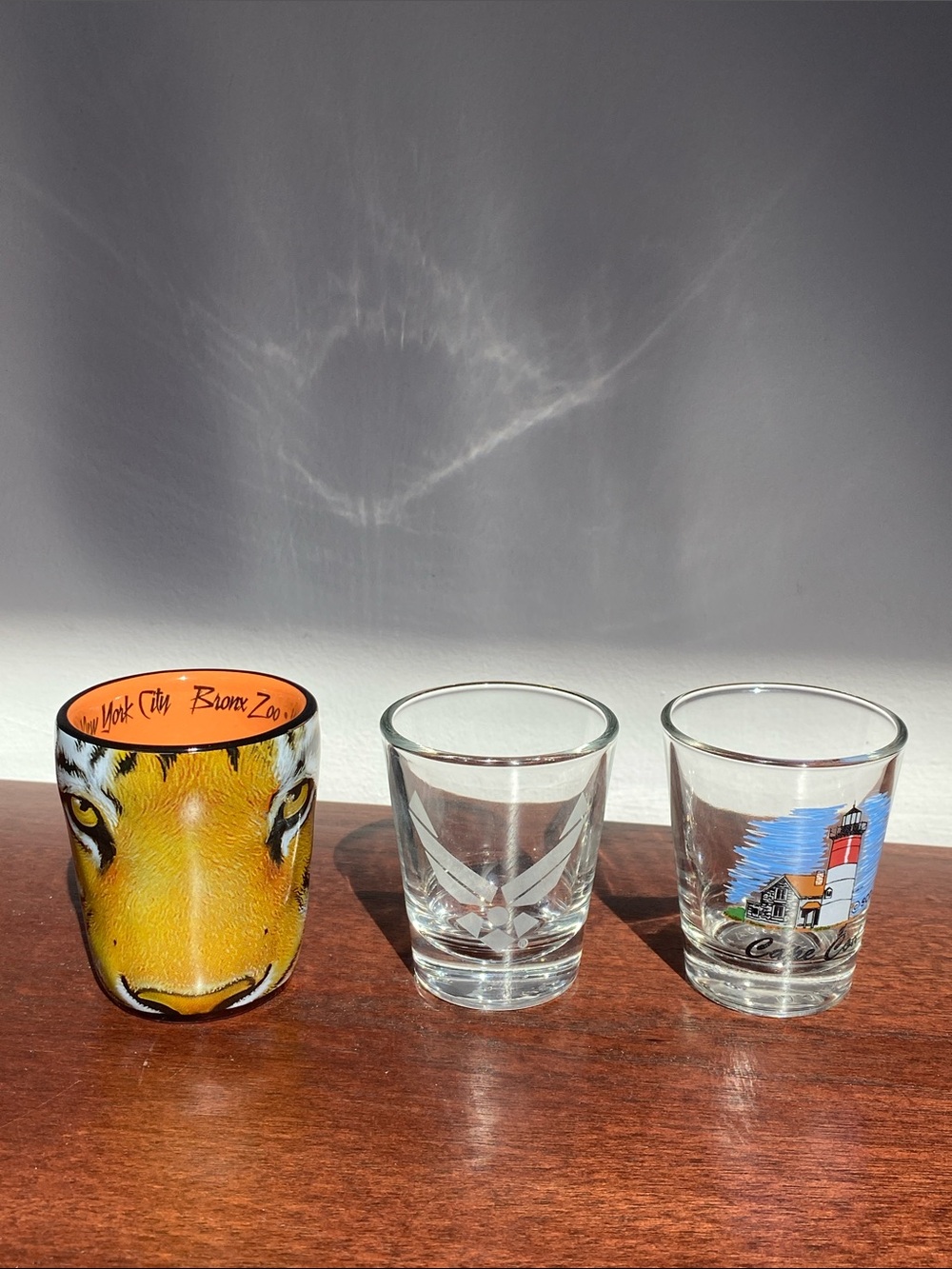 Set of 3 Shot Glasses Bronx Zoo Air Force Cape Cod